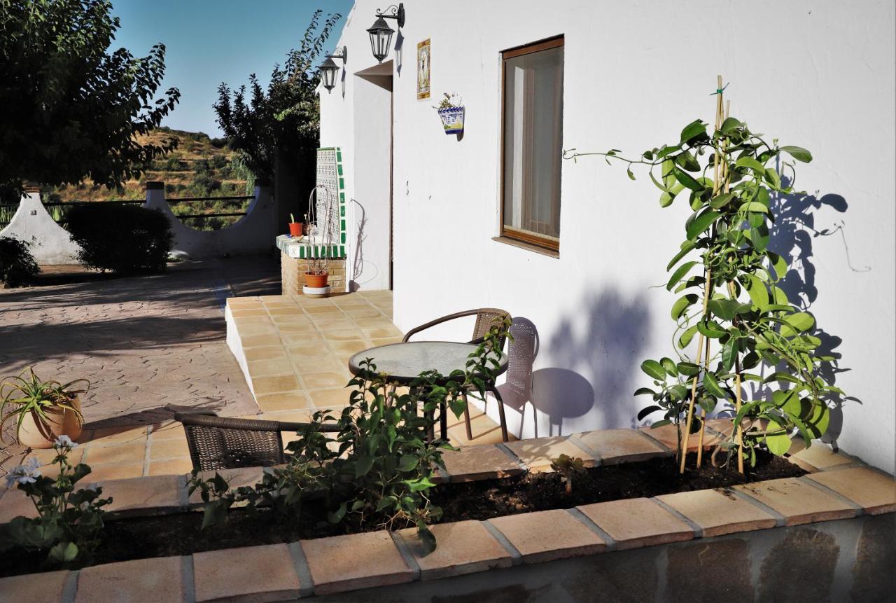 Homestay La Meica
